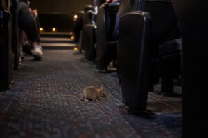Cine