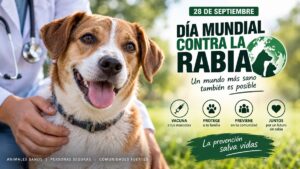 Contra rabia a